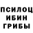 Галлюциногенные грибы Cubensis Homnix HD